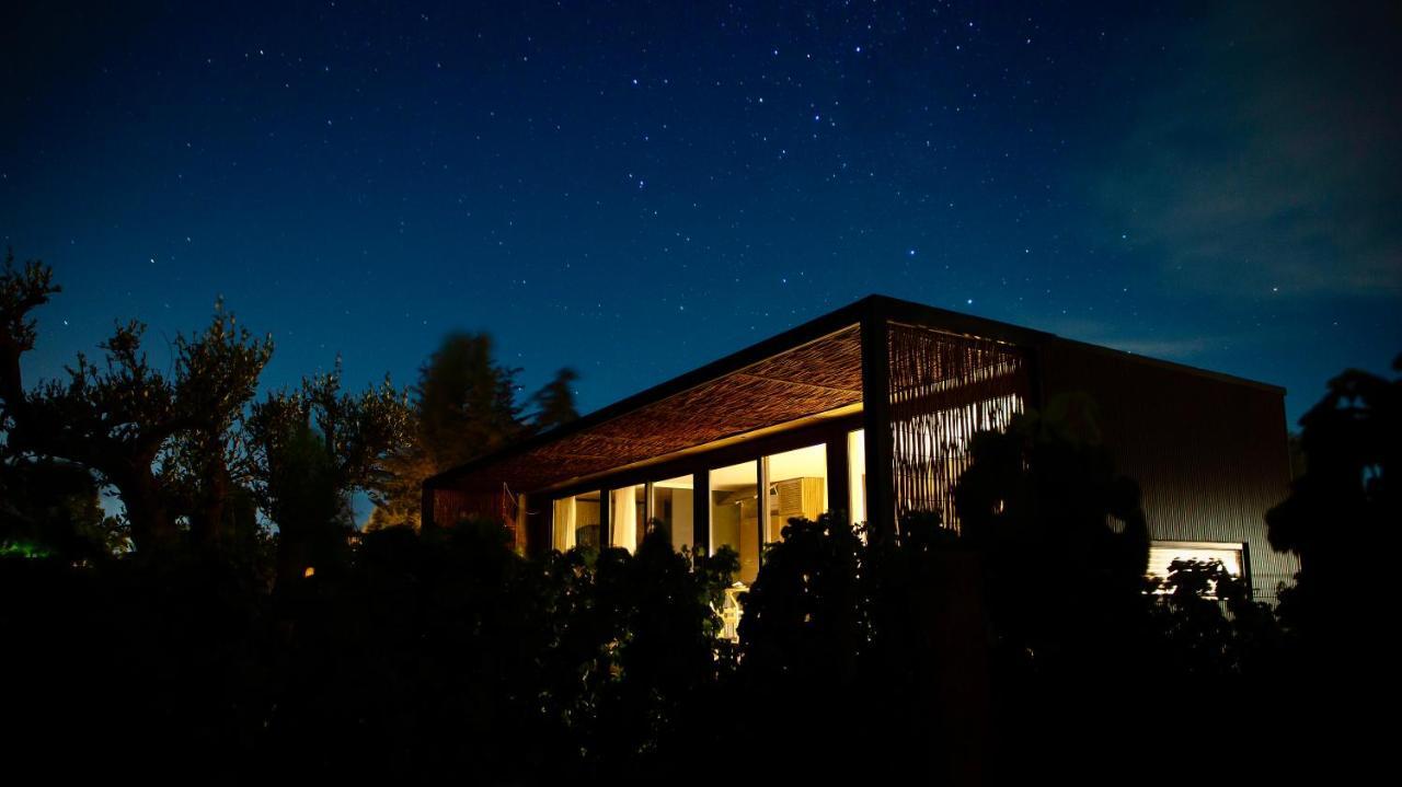 Vibo Wine Lodge At Viu Manent Santa Cruz Exterior photo